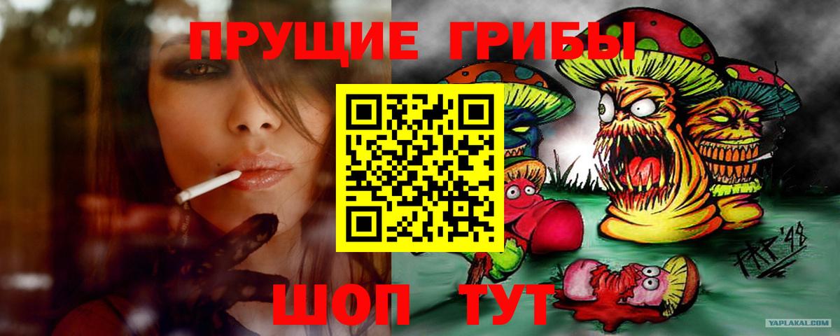 Галлюциногенные грибы Magic Shrooms Курганинск