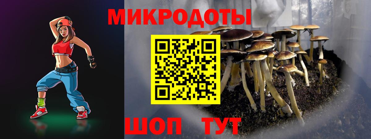 Курганинск  Галлюциногенные грибы MAGIC MUSHROOMS  Вход с VPN 